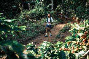 BIB: 
                            <button type="button" onclick="openModal(25847102)" class="btn btn-primary btn-sm float-right btn-popup" data-toggle="modal" data-target=".modal-high-quality">
                        <i class="fas fa-shopping-cart"></i> Add to Cart
                    </button>
                                            <button type="button" onclick="isThisMe(25847102, true)" class="btn btn-success btn-sm float-right btn-popup btn-isme hidden" data-toggle="tooltip" data-placement="bottom" title="นี่คือรูปของคุณใช่ไหม คลิกที่นี่เพื่อเอาเข้าอัลบั้ม">
                        <i class="fas fa-plus"></i> Add to album
                    </button>
                    <button type="button" onclick="isThisMe(25847102, false)" class="btn btn-warning btn-sm float-right btn-popup btn-isnotme hidden">
                        <i class="fas fa-ban"></i> Remove from album
                    </button>